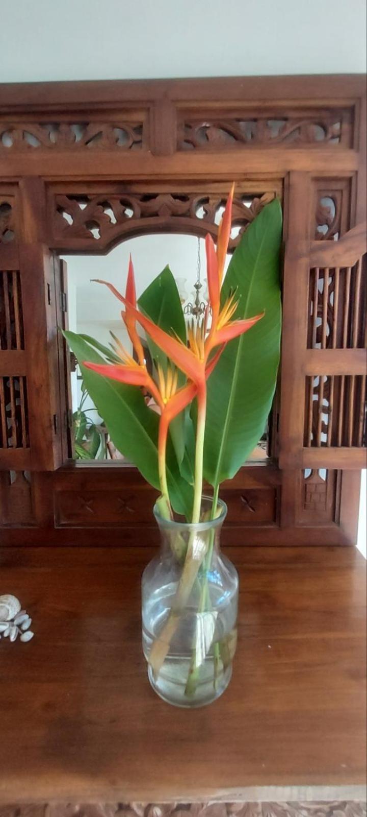 Residence71Nadi Fiji エクステリア 写真
